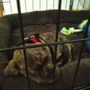 Meet your Posher, Robert